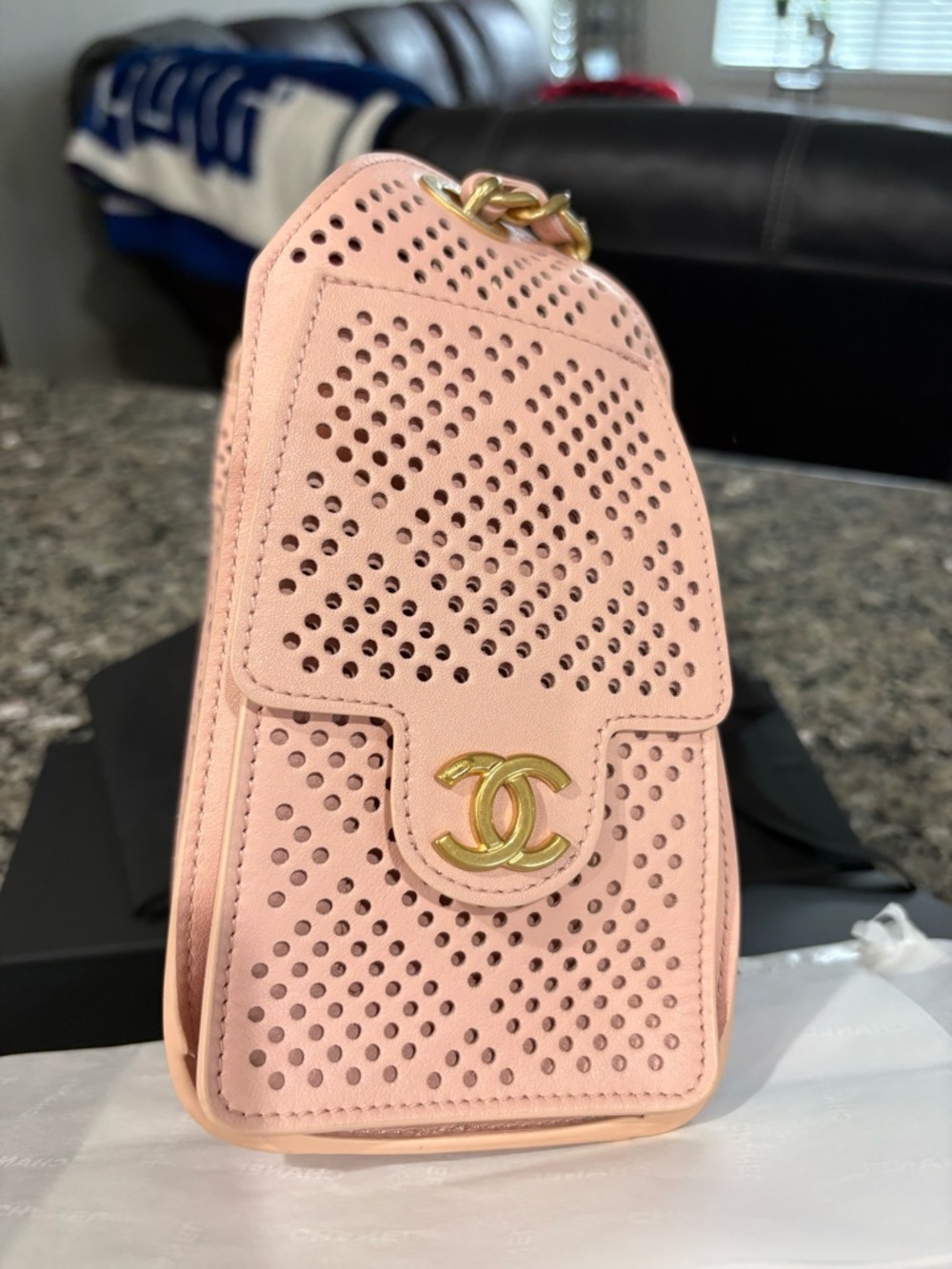 CHANEL Light Pink Perforated Leather 25 Mini Bag with Gold Hardware - Picture 5 of 11